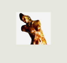 ΓΛΥΠΤΑ / ΜΙΚΡΟΓΛΥΠΤΙΚΗ