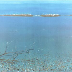 ΣΠΥΡΟΣ ΒΑΣΙΛΕΙΟΥ 69,6Χ90,1